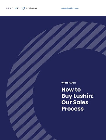 How to Buy Lushin: Our Sales Process